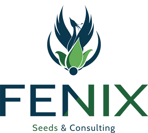 fenix-logo